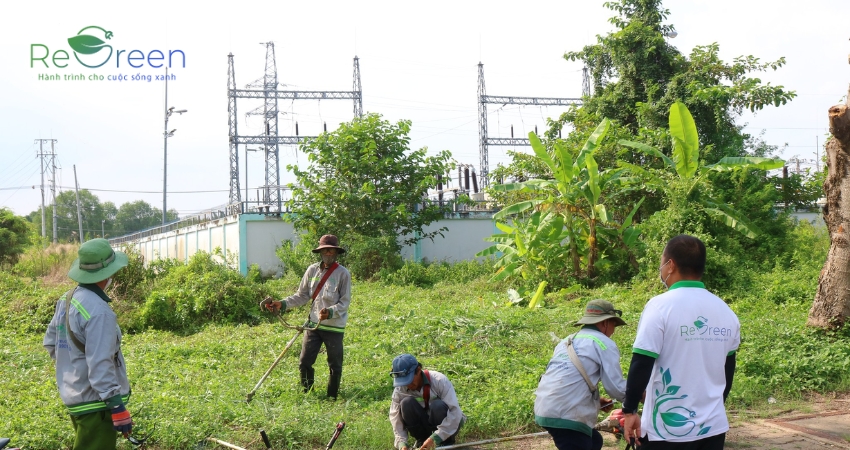 Công tác chuẩn bị mặt bằng bao gồm dọn dẹp, loại bỏ các vật cản, xử lý nền đất